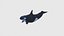 Low Poly Orca Rigged con textura realista