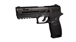 P250 Pistol