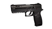 P250 Pistol