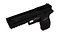P250 Pistol