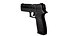 P250 Pistol