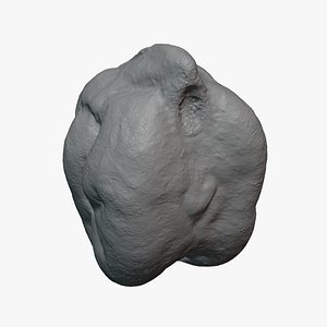 Dry Garbanzo Bean 02 - For 3D Print