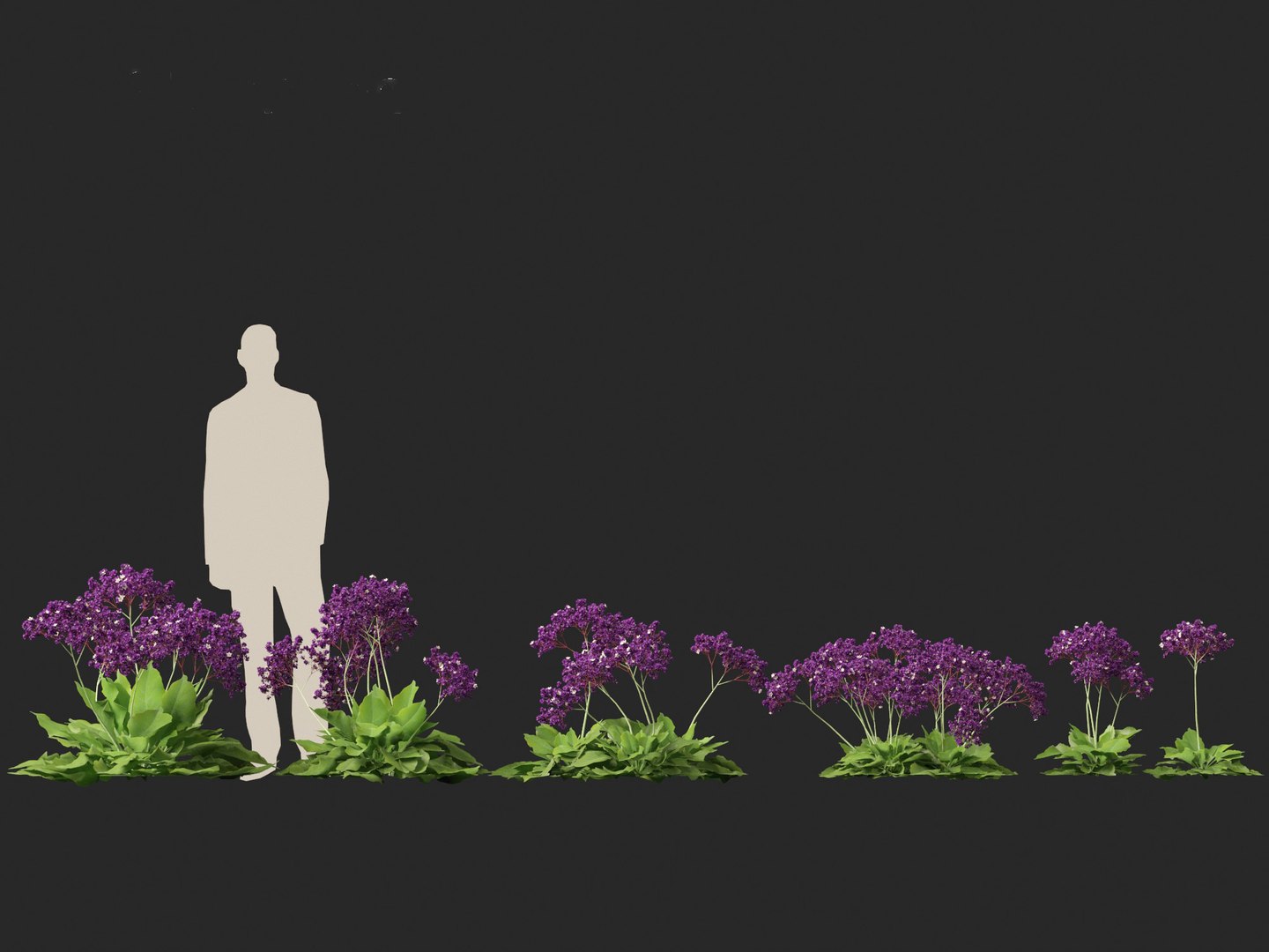 Limonium perezii - Sea lavender 3D model https://p.turbosquid.com/ts-thumb/UZ/ut7v6f/B5/limoniumperezii012/jpg/1698735251/1920x1080/fit_q87/8be5d300d3675cefb151fdb28eee04958ebac7a5/limoniumperezii012.jpg
