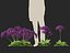 Limonium perezii - Lavande de mer
