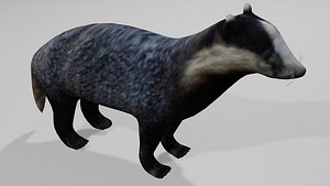 3D Badger Obj and Blend