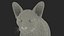 Sphynx Cat Solid Color Black