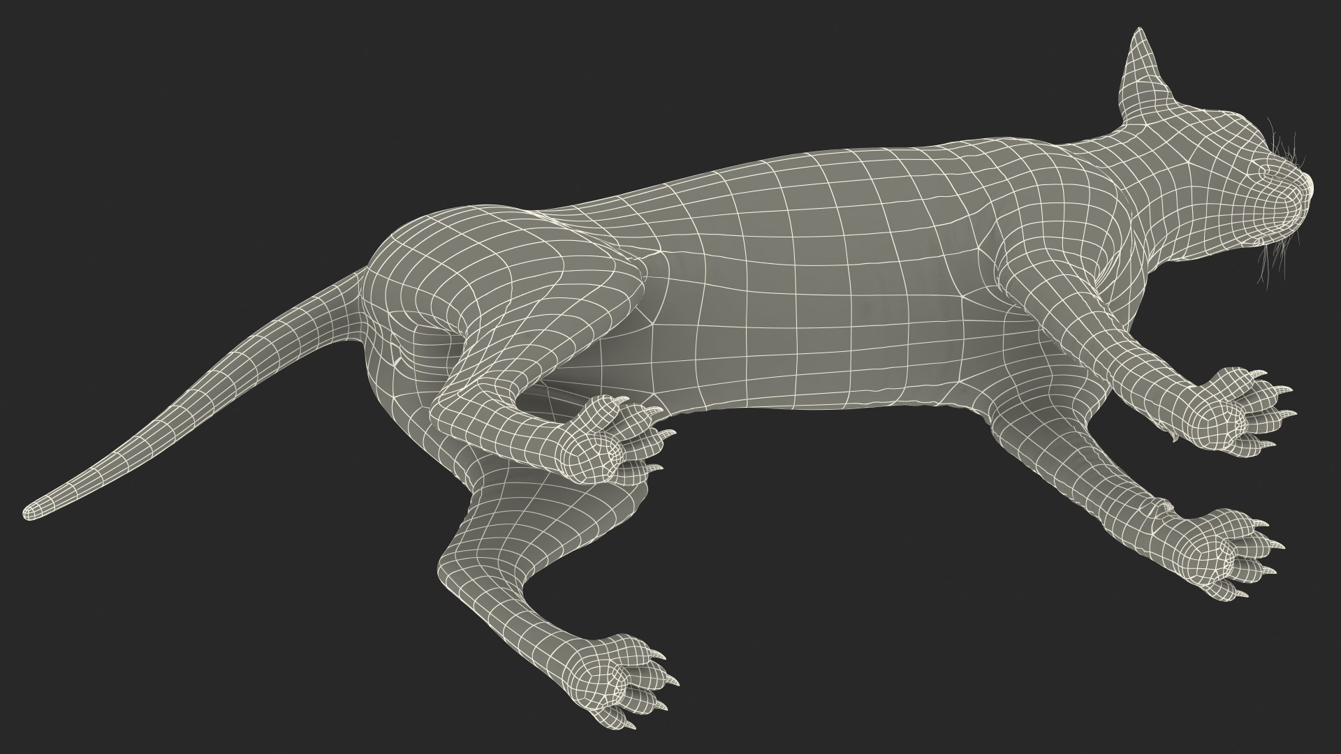 sphynx cat solid color 3D model https://p.turbosquid.com/ts-thumb/UZ/zFwBuU/xbkynyyI/sphynxcatsolidcolorblackvray3dmodel030/jpg/1604365779/1920x1080/fit_q87/ad2296b1aa40784adae32dfb6890df5040619f4d/sphynxcatsolidcolorblackvray3dmodel030.jpg