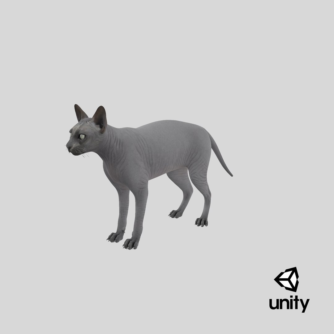 sphynx cat solid color 3D model https://p.turbosquid.com/ts-thumb/UZ/zFwBuU/yfaBMHrf/stemcell_unity_render/png/1607796146/1920x1080/fit_q87/dbaa6aeb7f2b51eb20a4e544fea1c1e9c7d33963/stemcell_unity_render.jpg