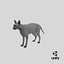 Sphynx Cat Solid Color Black