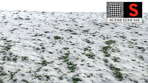 Scan ground Snow HD