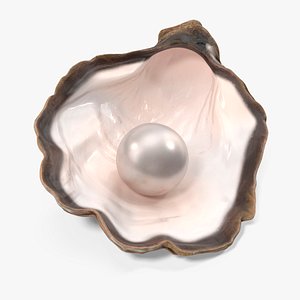 Classic Pearl in Shell 3D model