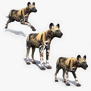 Ultimate Wild Dog 8K - 3d animated model