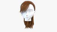 Styled Hair