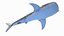 3D Whale Shark Static