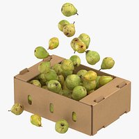 Cardboard Box 01 With Taylors Gold Pear Flying