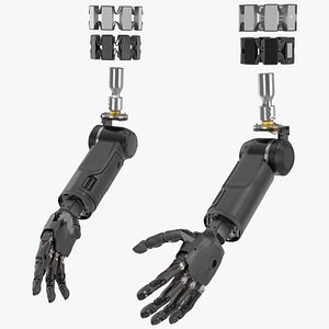 Brain Controlled Prosthetic Limbs 3D model