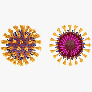 corona virus coronavirus model