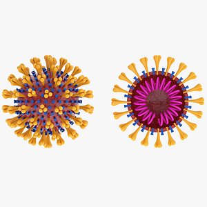 Coronavirus
