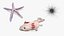 Collezione di creature marine