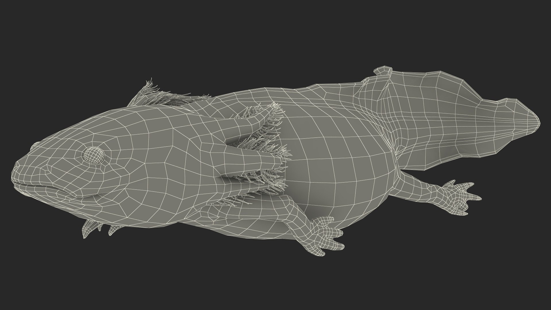 Sea Creatures Collection 3D https://p.turbosquid.com/ts-thumb/Ub/Bx5RPH/Po/sea_creatures_collection_029/jpg/1770841281/1920x1080/fit_q87/ffde52d32ad3011834c230168a430747967cc12b/sea_creatures_collection_029.jpg