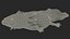 Collezione di creature marine