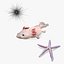 Collezione di creature marine