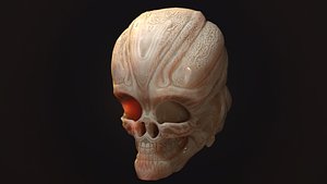 Alien Skull