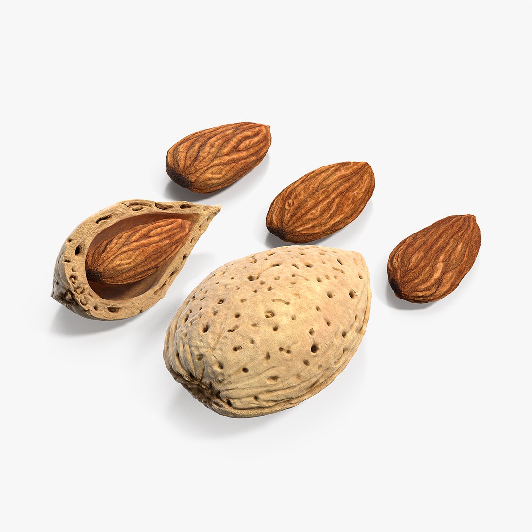 Almonds Collection 3D model preview