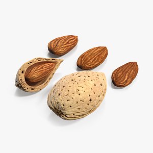 almonds nuts seed 3D model