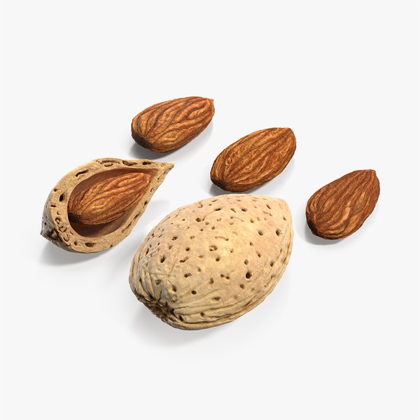 Almonds Nuts Seed 3d Model Turbosquid