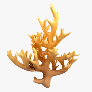 modeled coral model