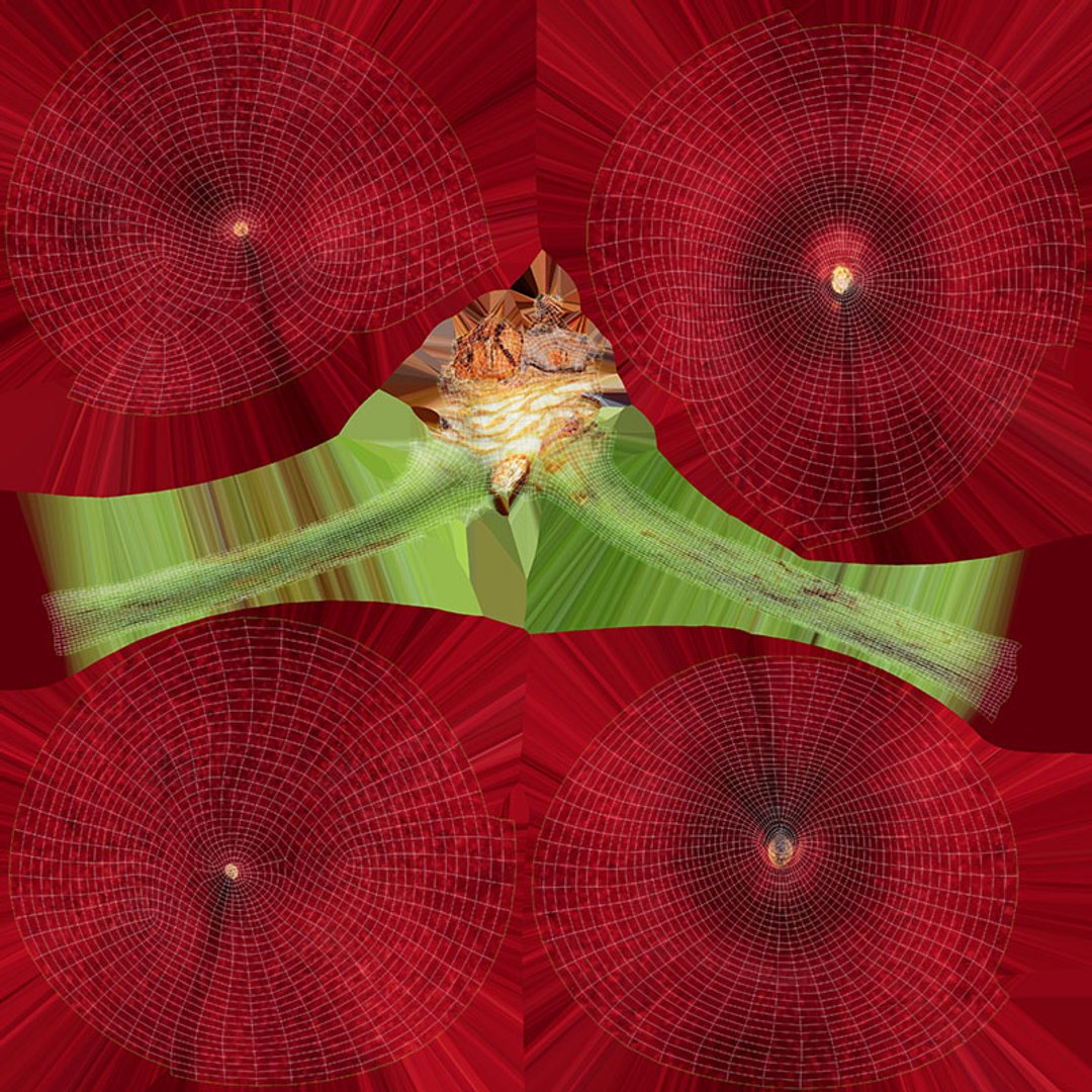 3D Cherry Collection https://p.turbosquid.com/ts-thumb/Ub/MulVC2/9Y/cherry02_d0004/jpg/1710133024/1920x1080/fit_q87/4c92fba9f561ee60f92f083e5b2a6dc67bba93ea/cherry02_d0004.jpg