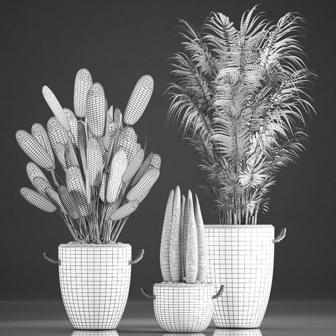 Ornamental plants concrete houseplants model TurboSquid 1645351