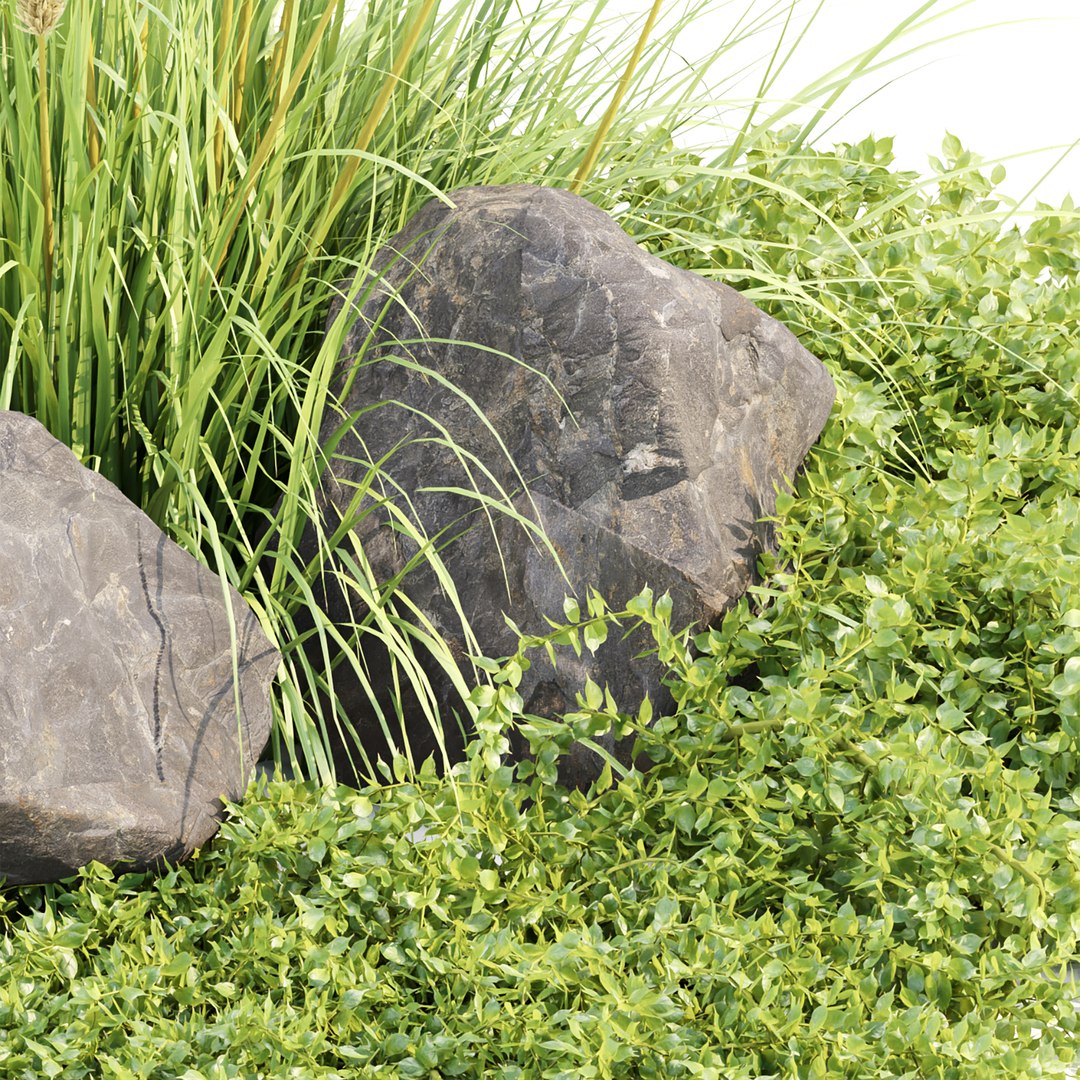 Outdoor plants for landscape vol 205 3D https://p.turbosquid.com/ts-thumb/Ub/SOeJzy/Cb/2/jpg/1681847283/1920x1080/fit_q87/ad9742e0d3dfe8fc4d3554be0ddde9e85a660492/2.jpg