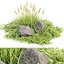 Outdoor plants for landscape vol 205