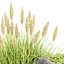 Outdoor plants for landscape vol 205