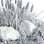 Outdoor plants for landscape vol 205