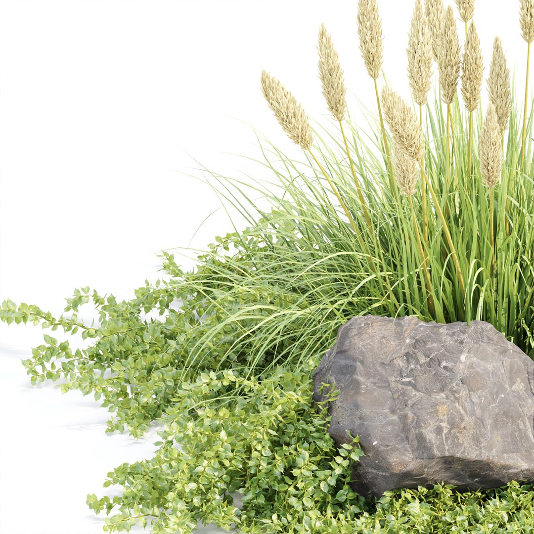 Outdoor plants for landscape vol 205 3D https://p.turbosquid.com/ts-thumb/Ub/SOeJzy/qe/4/jpg/1681847287/1920x1080/fit_q87/e4d33fcc65c3b855664f9a2b312d687a9ef191cd/4.jpg