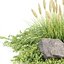 Outdoor plants for landscape vol 205