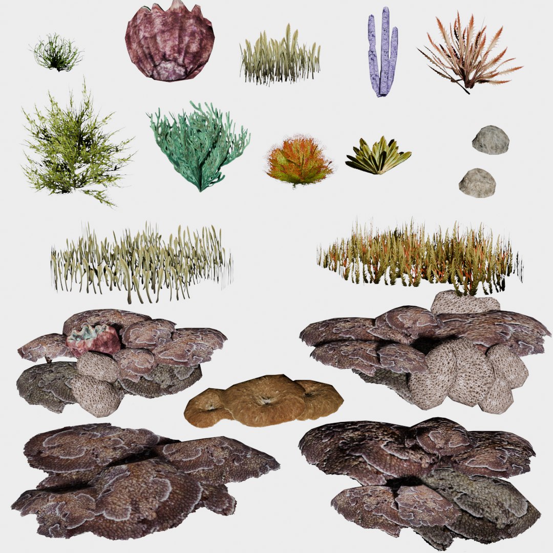 18 in 1 Undersea Vegetation Collection - Game Assets - Low Poly 3D model https://p.turbosquid.com/ts-thumb/Ub/TPk7FW/4L/undersea_vegetation_collection/png/1744858436/1920x1080/fit_q87/88c151597db3be30c74cc962948e03ad8bb5004e/undersea_vegetation_collection.jpg
