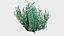 18 in 1 Undersea Vegetation Collection - Game Assets - Low Poly 3D model