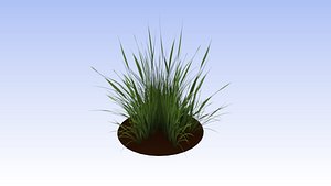 grass plant nature 3D model