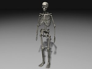 LowPoly Skeleton 2