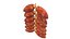 Dates