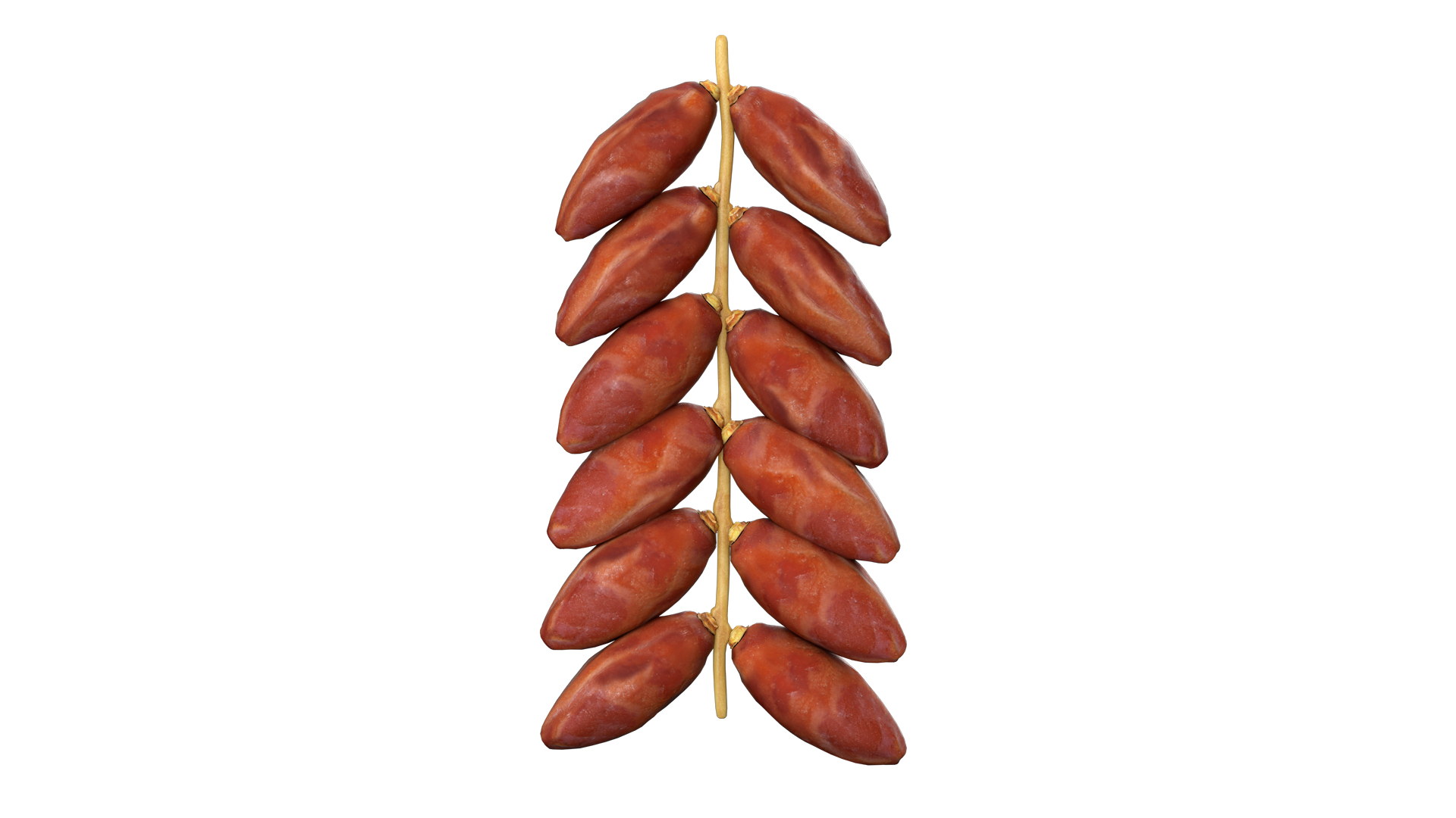 Dates 3D model https://p.turbosquid.com/ts-thumb/Ub/VGE0IP/jo/datesgx1/png/1638063390/1920x1080/turn_fit_q99/29e638bee7db50b52c84ea1a08852f33369e9fba/datesgx1-1.jpg