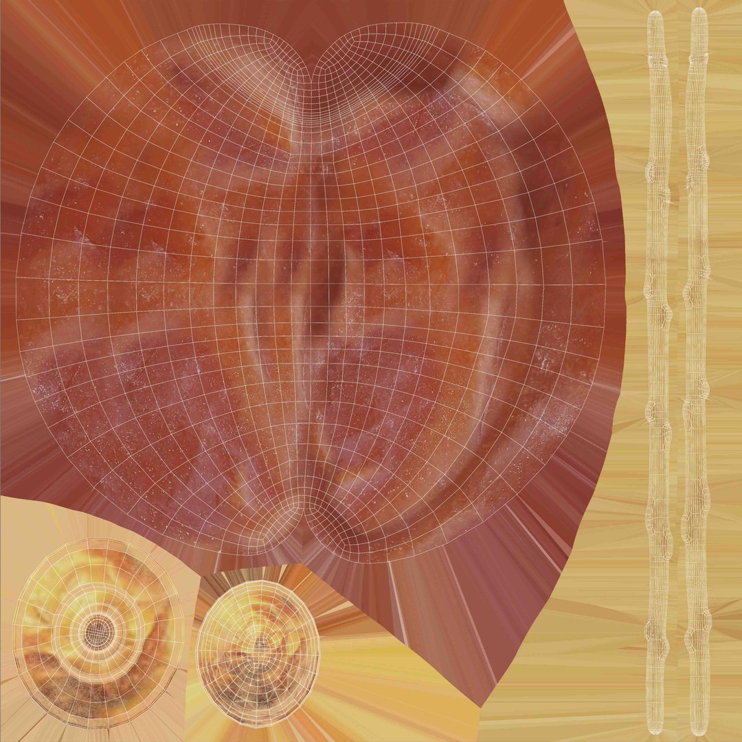 Dates 3D model https://p.turbosquid.com/ts-thumb/Ub/VGE0IP/w0/uvslayout/jpg/1638064202/1920x1080/fit_q87/6e441ecef9b03167412fb25a175ff41fa355782e/uvslayout.jpg