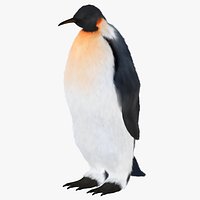 Penguin Hair