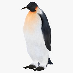 Penguin Hair