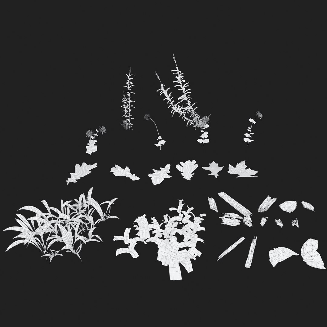 Forest Ground Model - TurboSquid 1933530