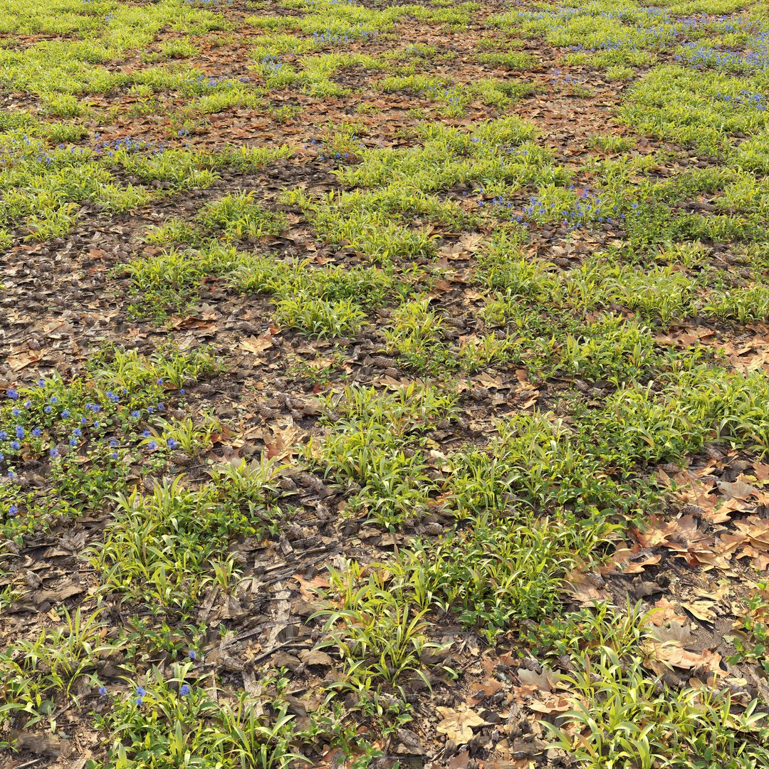 Forest Ground Model - TurboSquid 1933530